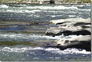 Skinner's-Falls-Daylight-2