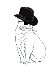 Fedora cat 3