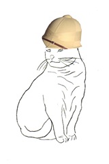 Pith Helmet Cat 6