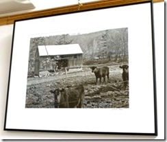 Saved by the Camera 22