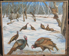 Turkeys in the Snow