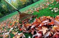 Raking leaves #2
