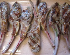 Grilled baby lamb chops