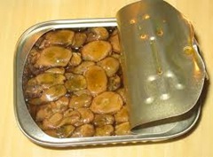 Canned smoked oysters