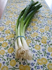 Scallions