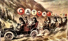 Enlarged Cats with Balloons