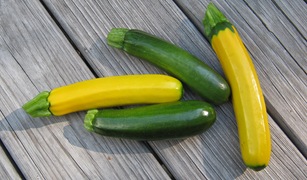 Yellow and green zucchini_reduced image