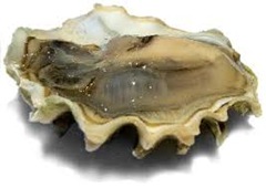 OnelargeoysteratAquagrill