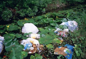 litter-and-garbage-dumped-in-wetland-area-among-water-lilies-and-marsh-plants