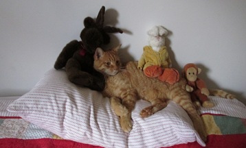 12. Fuzzbee and playmates Oct. 20, 2014