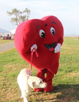 heart dog